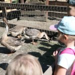 phoca_thumb_m_horeky  22 Fotogalerie